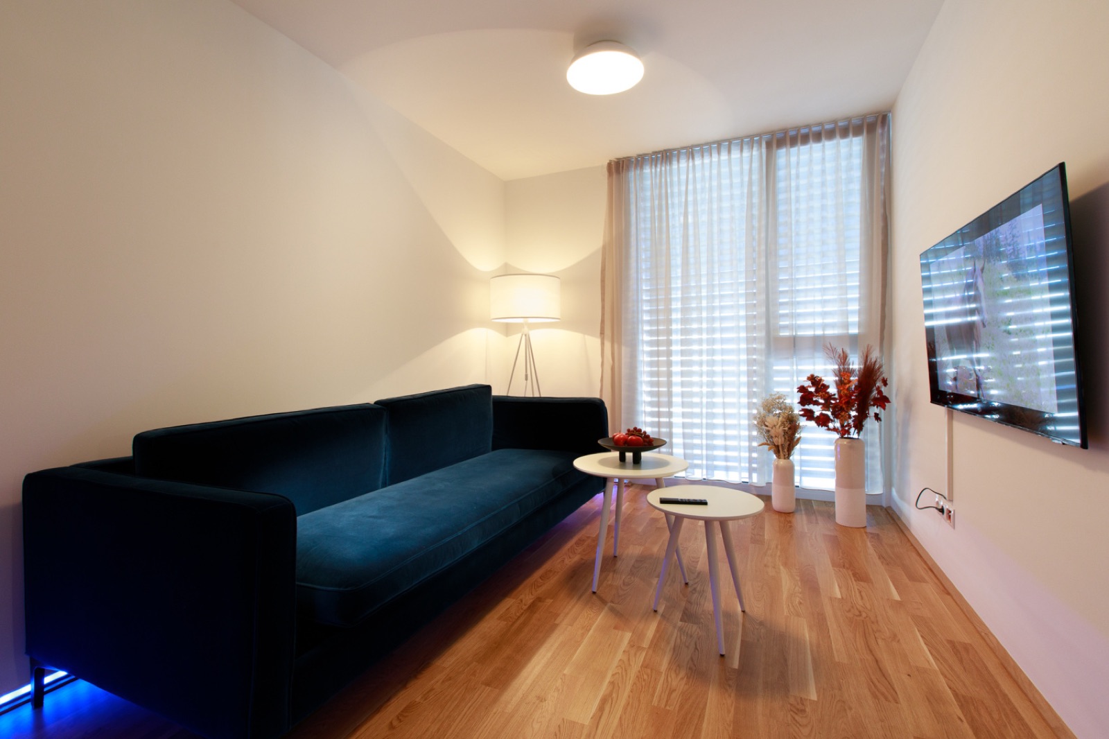 Wohnzimmer mit Sofa und Fernseher im Wohlfühlapartment in Hard