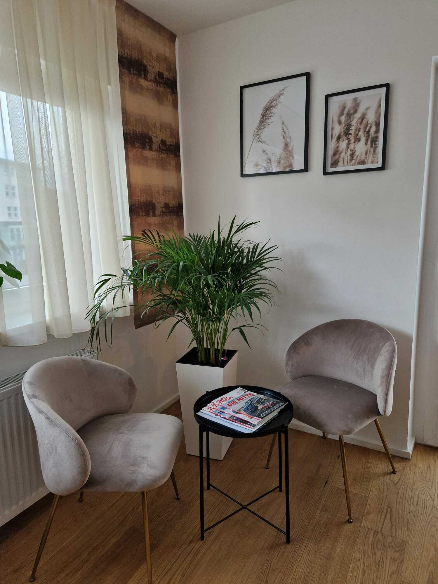Sitzecke mit Sesseln und Zimmerpflanze im Apartment Nr 24